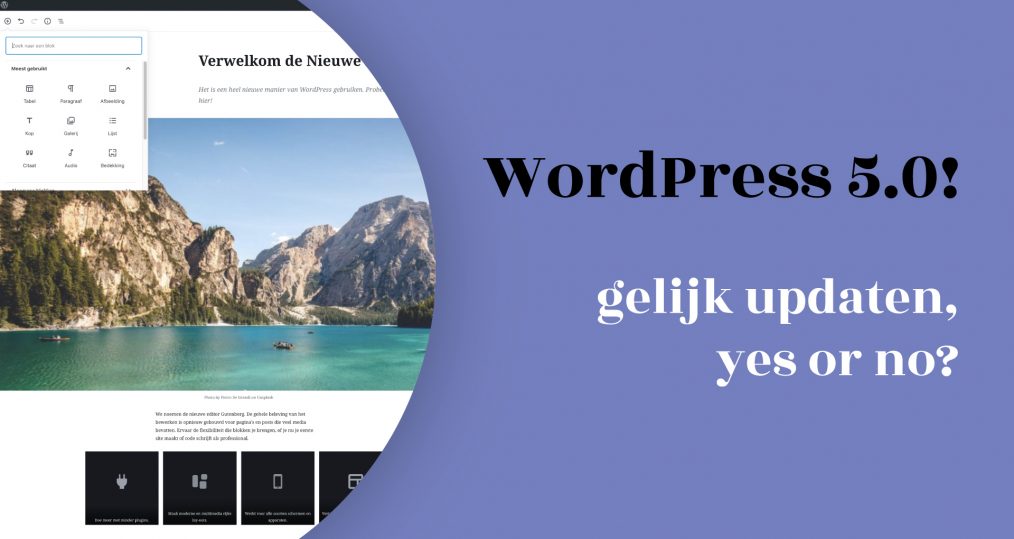 WordPress 5.0: gelijk updaten of wachten?