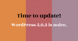 Tijd om te updaten naar WordPress 5.0.3 (ILUZIE blog)